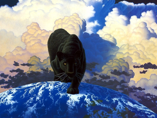 316632 (a): :1024x768